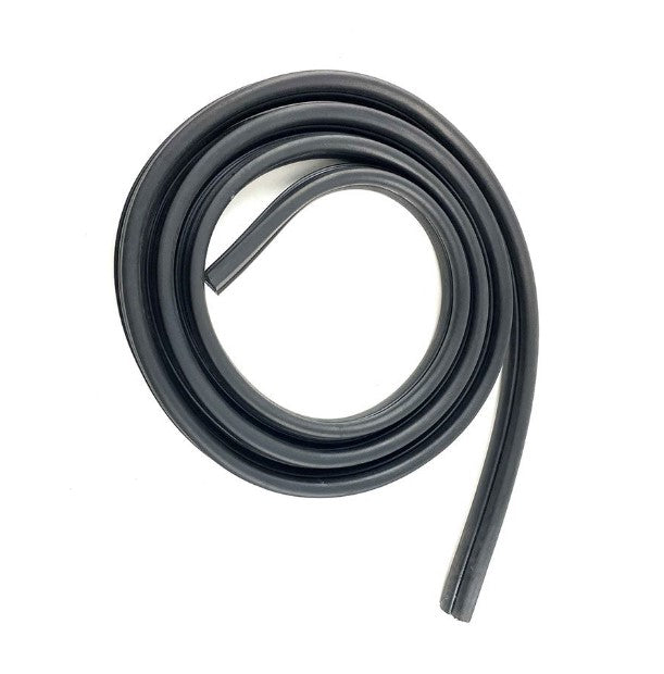 Buick Invicta Weatherstrip & Door Seals